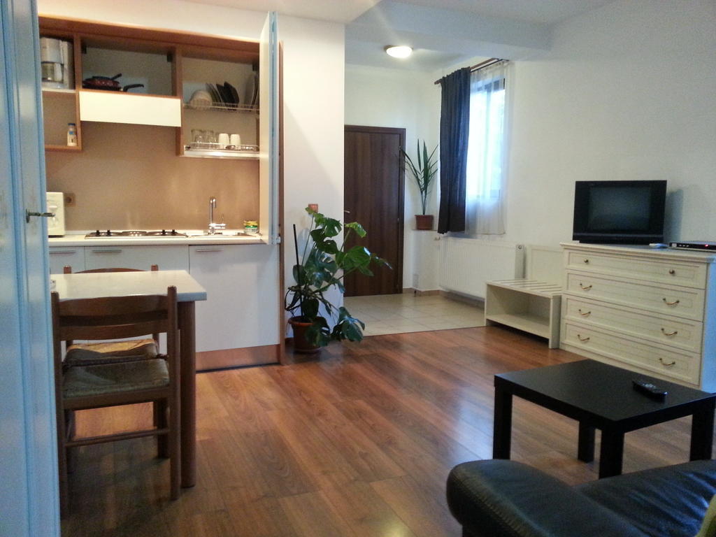 בוקרשט Banu Manta Apartments חדר תמונה